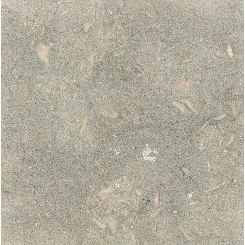 Rustic Green - Seagrass Limestone Medium Selection Polished