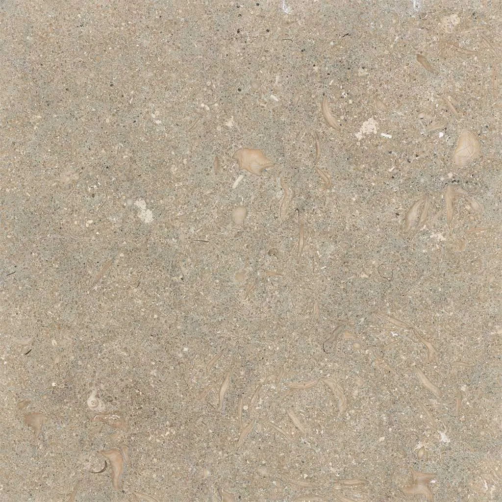 Rustic Green - Seagrass Limestone Dark Selection 1 Honed Polished